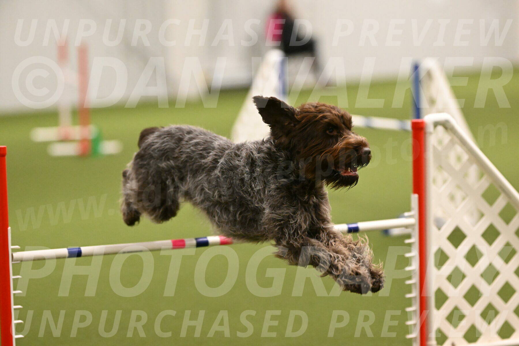 Drake-Janice-Lipscomb-04337