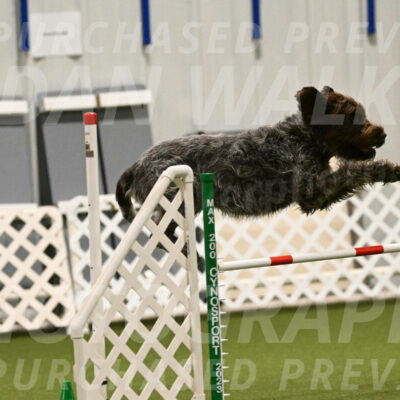 Drake-Janice-Lipscomb-04338