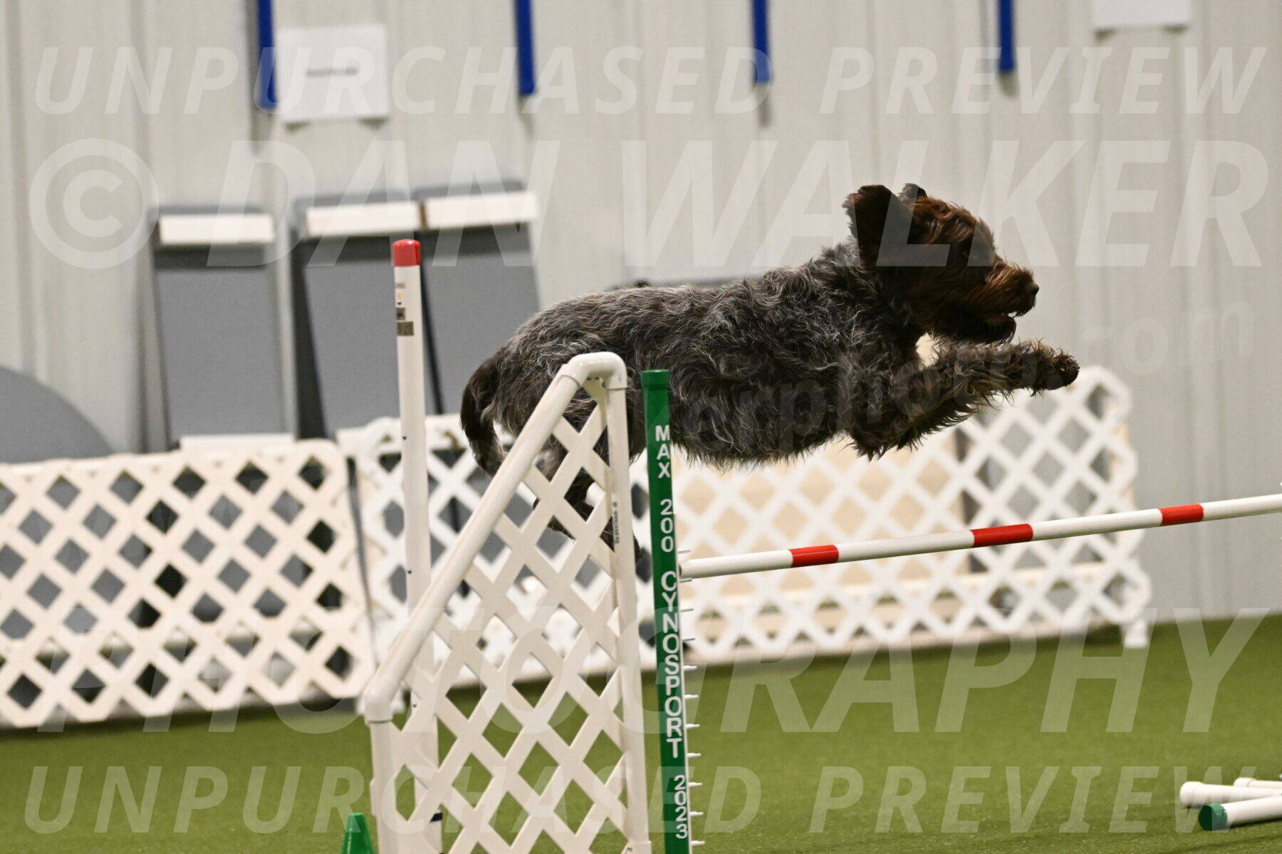 Drake-Janice-Lipscomb-04338