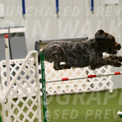 Drake-Janice-Lipscomb-04339