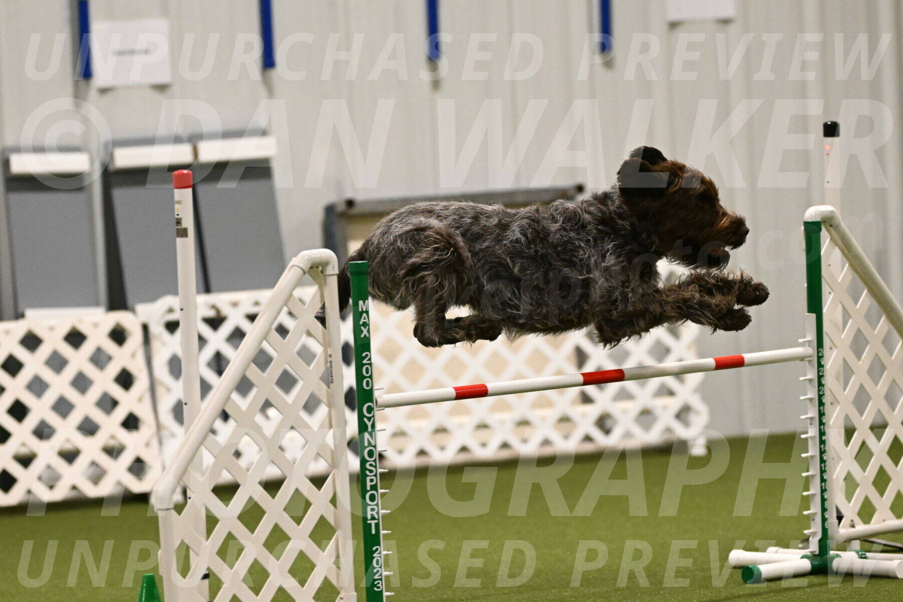 Drake-Janice-Lipscomb-04339