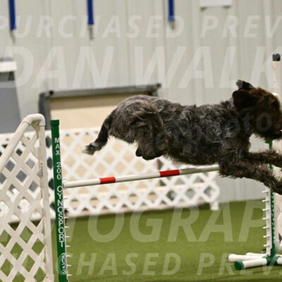 Drake-Janice-Lipscomb-04340