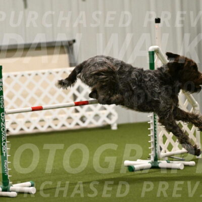 Drake-Janice-Lipscomb-04341