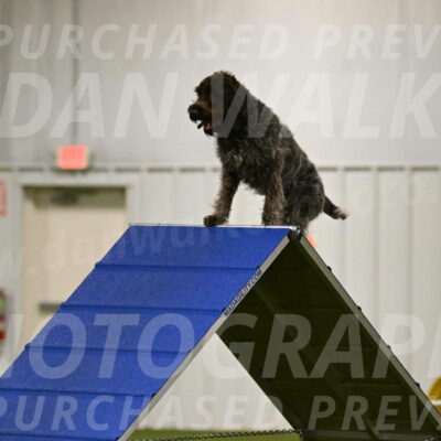 Drake-Janice-Lipscomb-04342