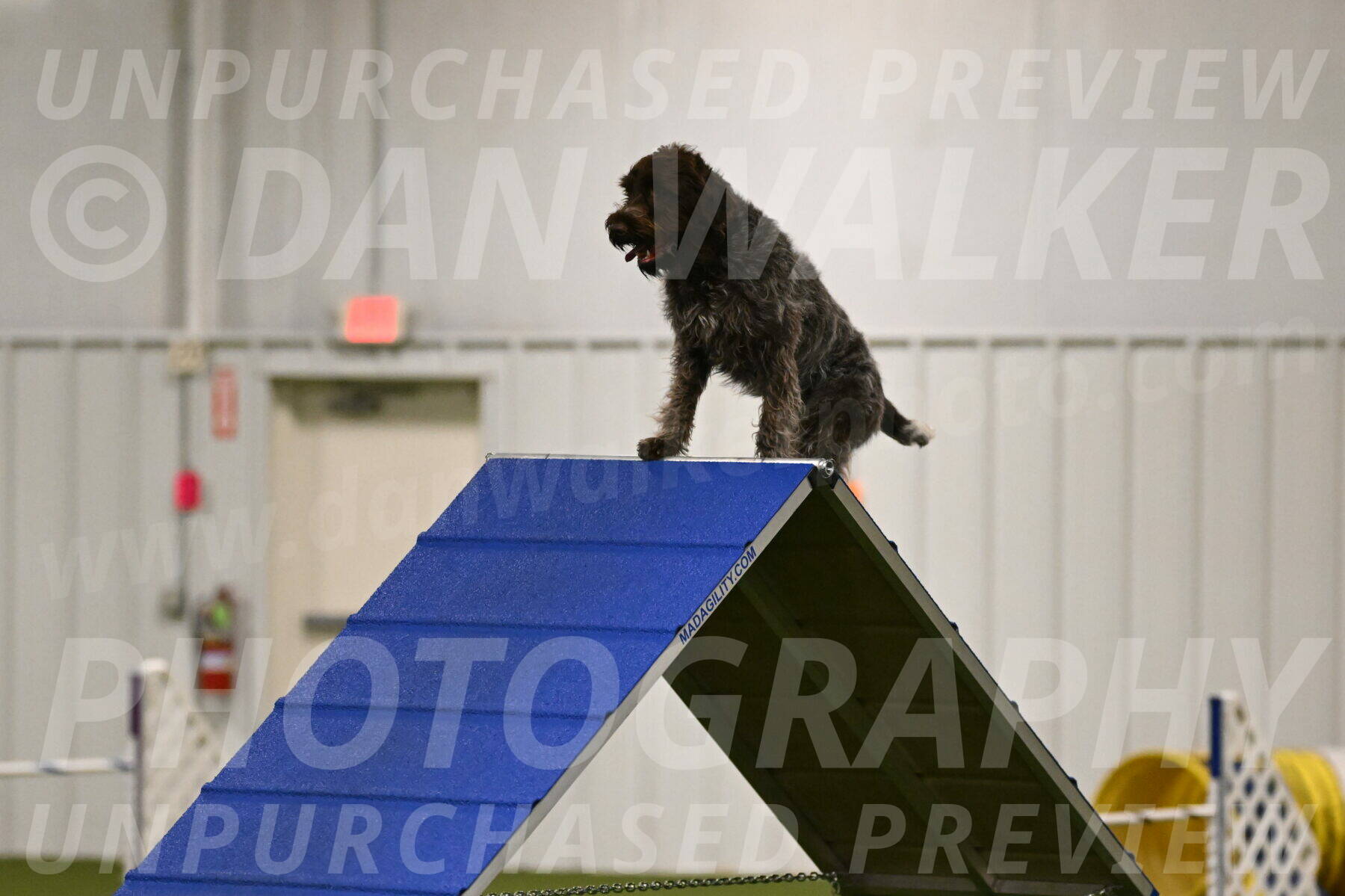 Drake-Janice-Lipscomb-04342