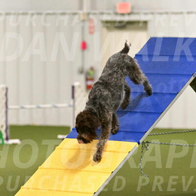 Drake-Janice-Lipscomb-04343