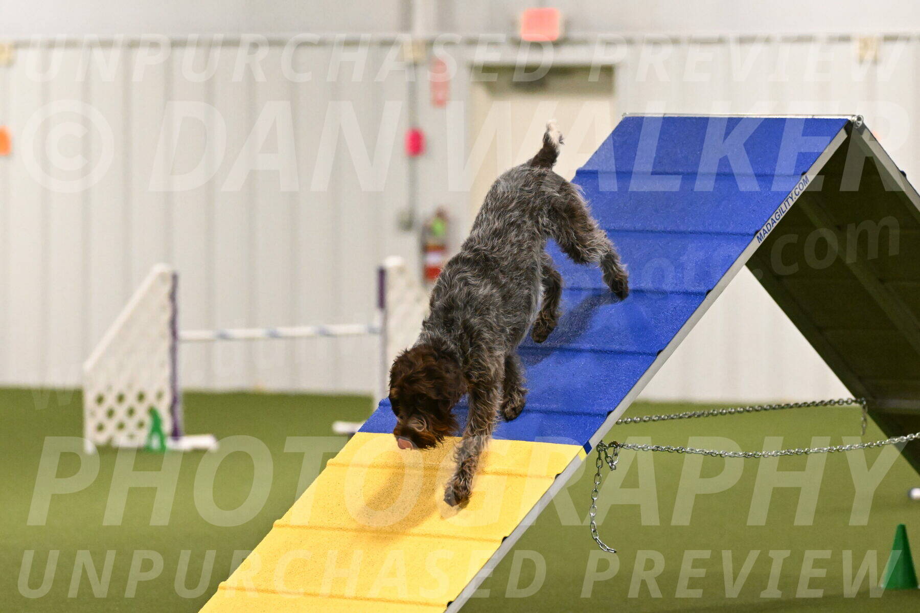 Drake-Janice-Lipscomb-04343