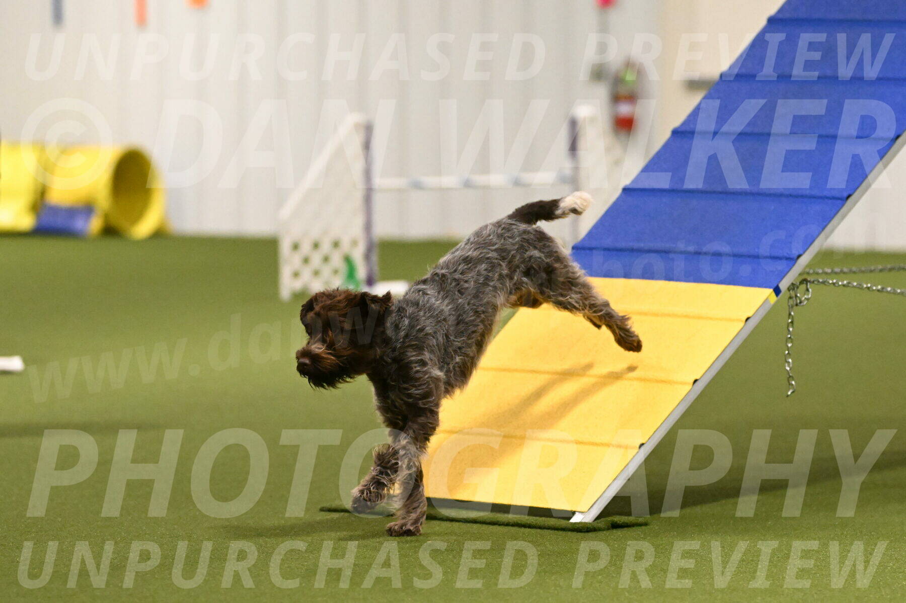 Drake-Janice-Lipscomb-04344