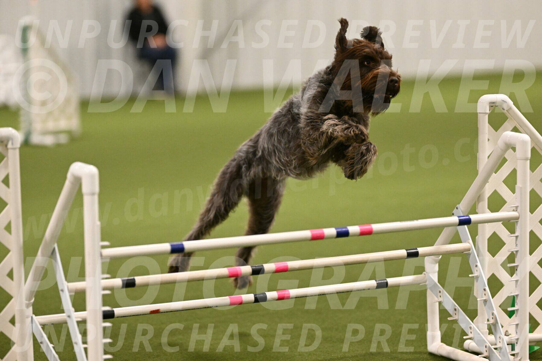 Drake-Janice-Lipscomb-04345