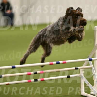 Drake-Janice-Lipscomb-04346