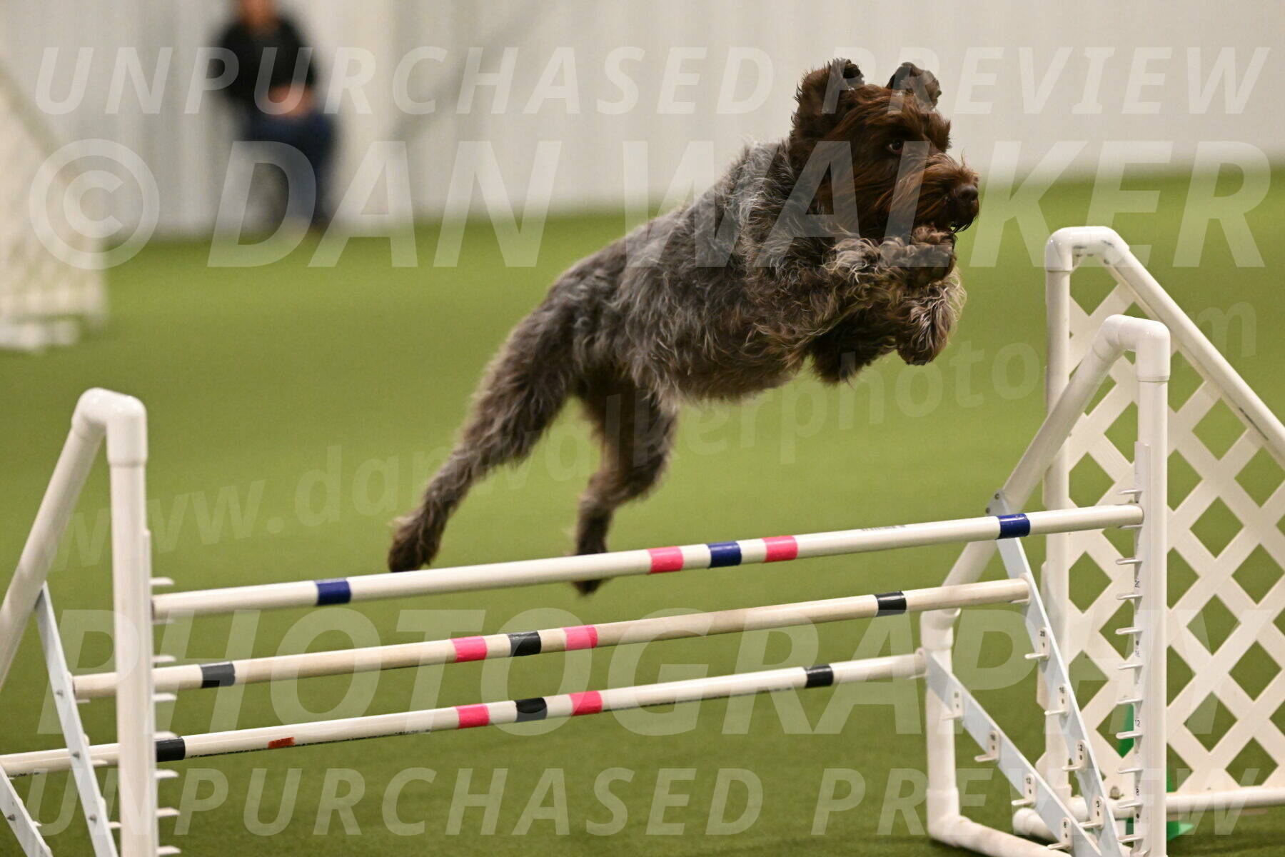 Drake-Janice-Lipscomb-04346