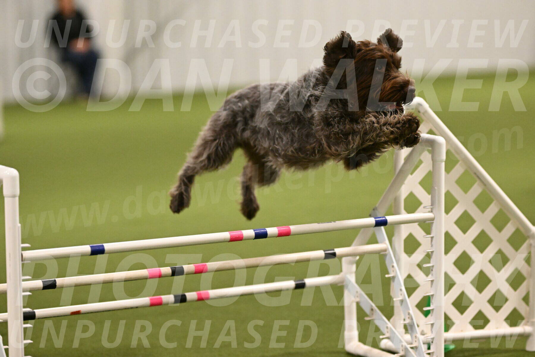 Drake-Janice-Lipscomb-04347