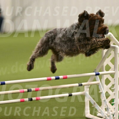 Drake-Janice-Lipscomb-04347