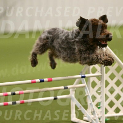 Drake-Janice-Lipscomb-04348