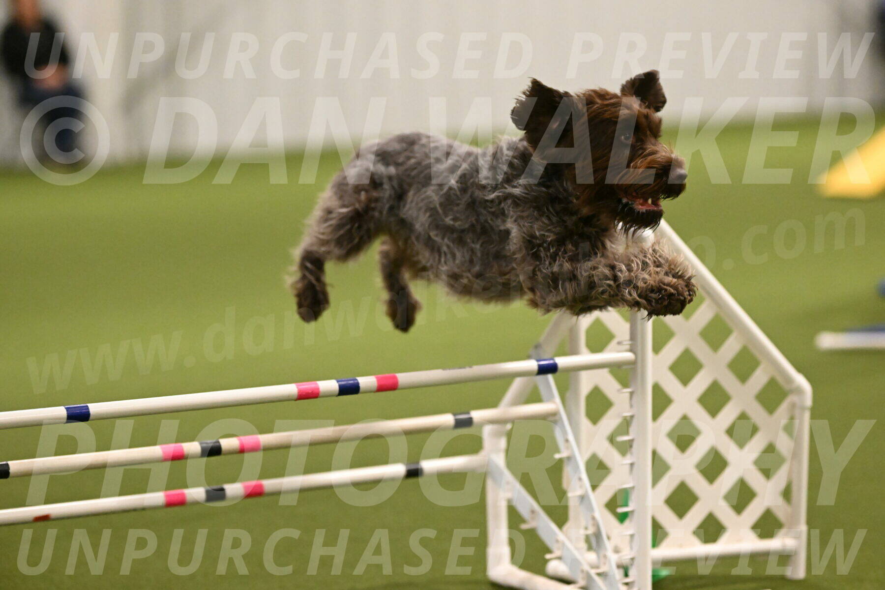 Drake-Janice-Lipscomb-04348