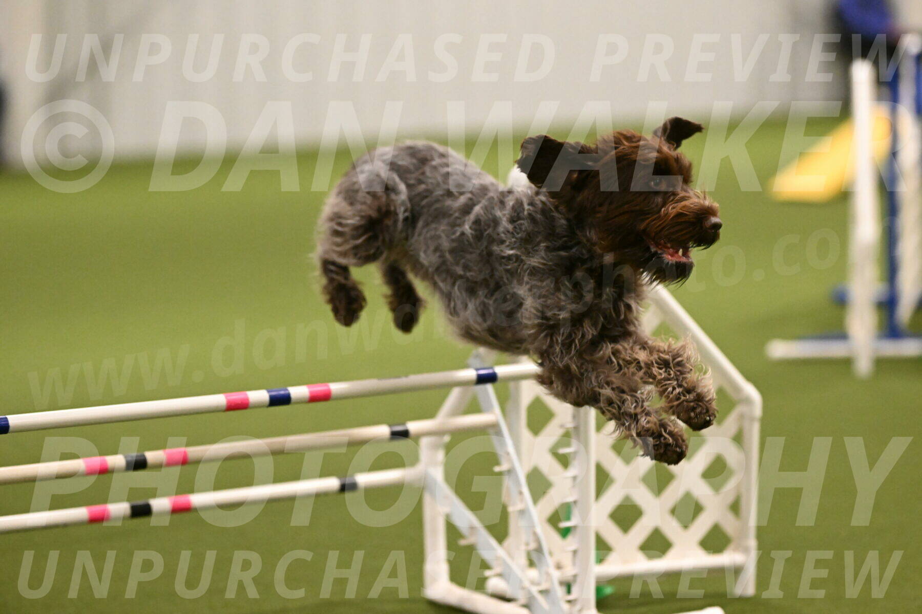 Drake-Janice-Lipscomb-04349