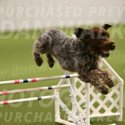 Drake-Janice-Lipscomb-04349