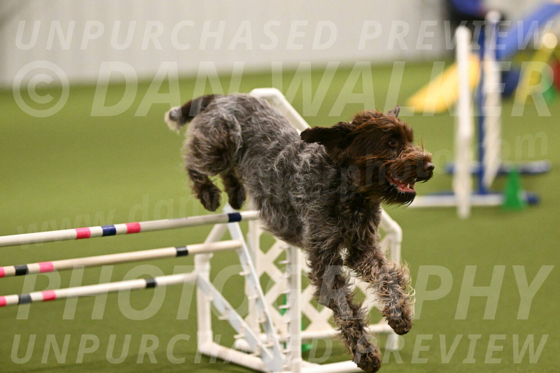 Drake-Janice-Lipscomb-04350