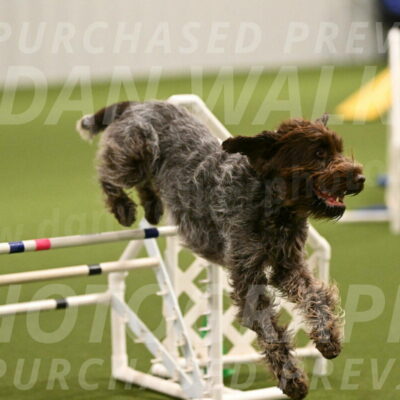 Drake-Janice-Lipscomb-04350