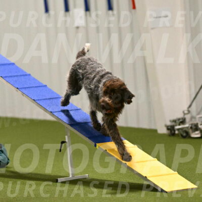 Drake-Janice-Lipscomb-04351