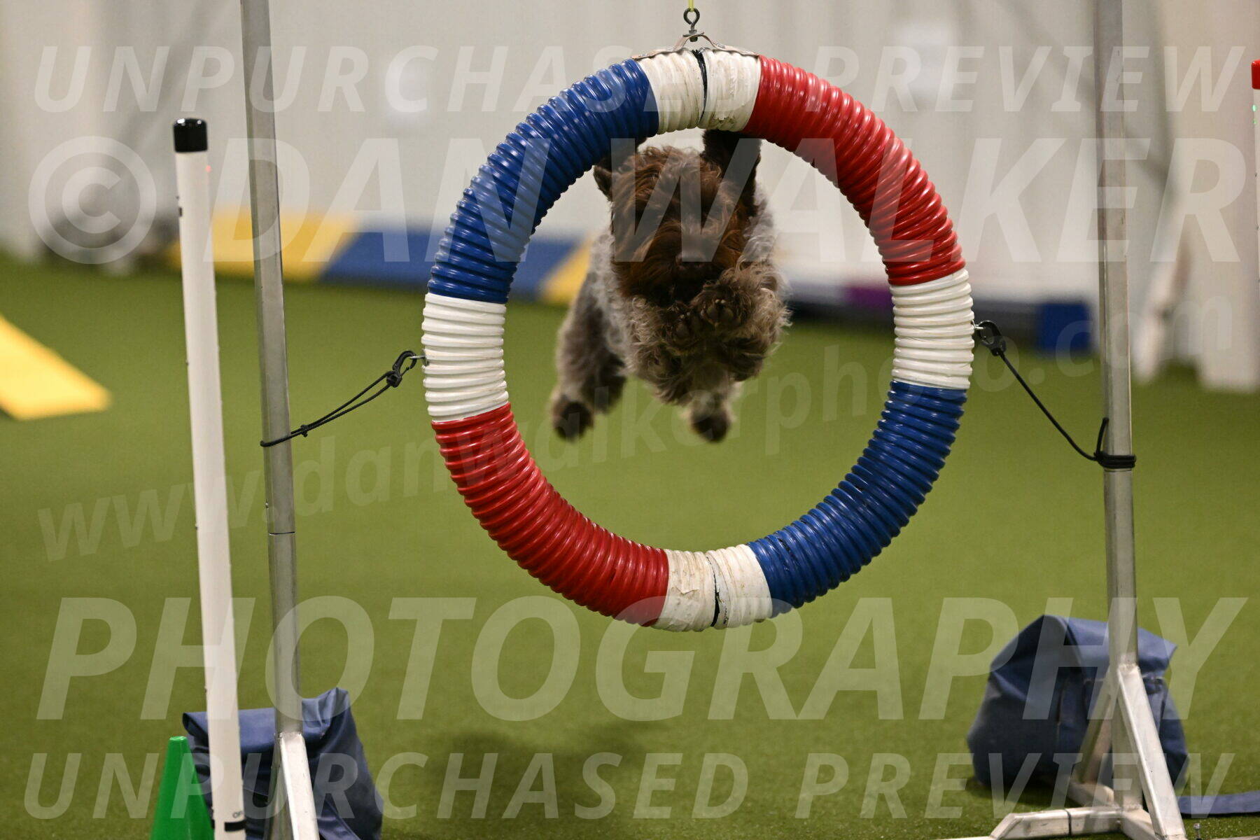 Drake-Janice-Lipscomb-04353