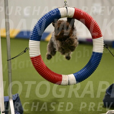 Drake-Janice-Lipscomb-04353