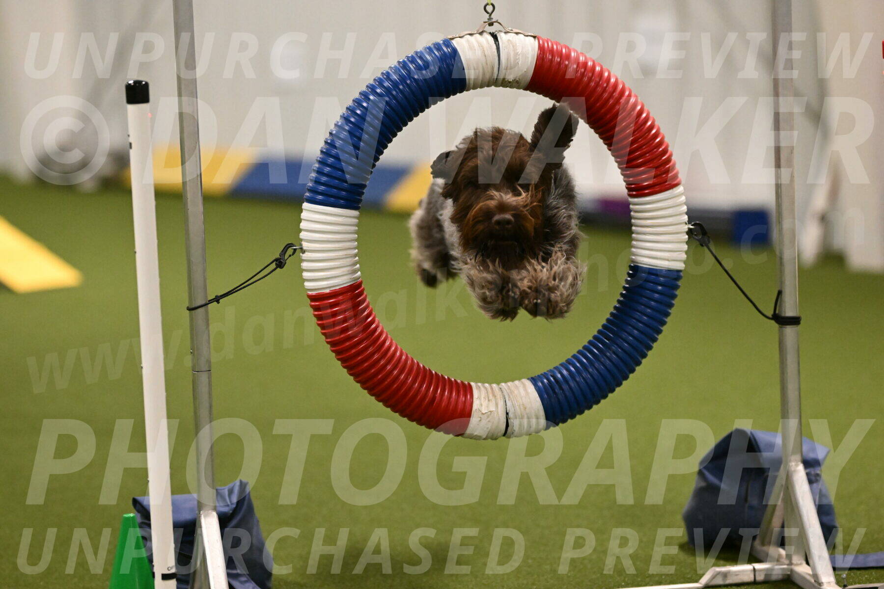 Drake-Janice-Lipscomb-04354