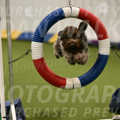 Drake-Janice-Lipscomb-04354