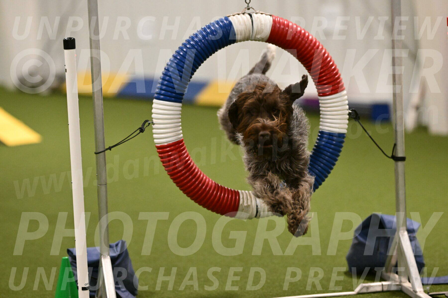 Drake-Janice-Lipscomb-04355