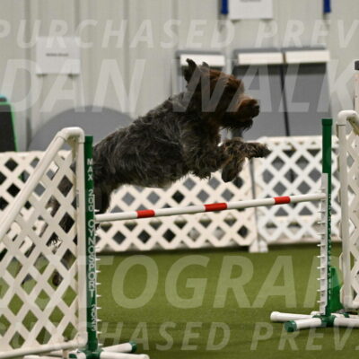 Drake-Janice-Lipscomb-04356