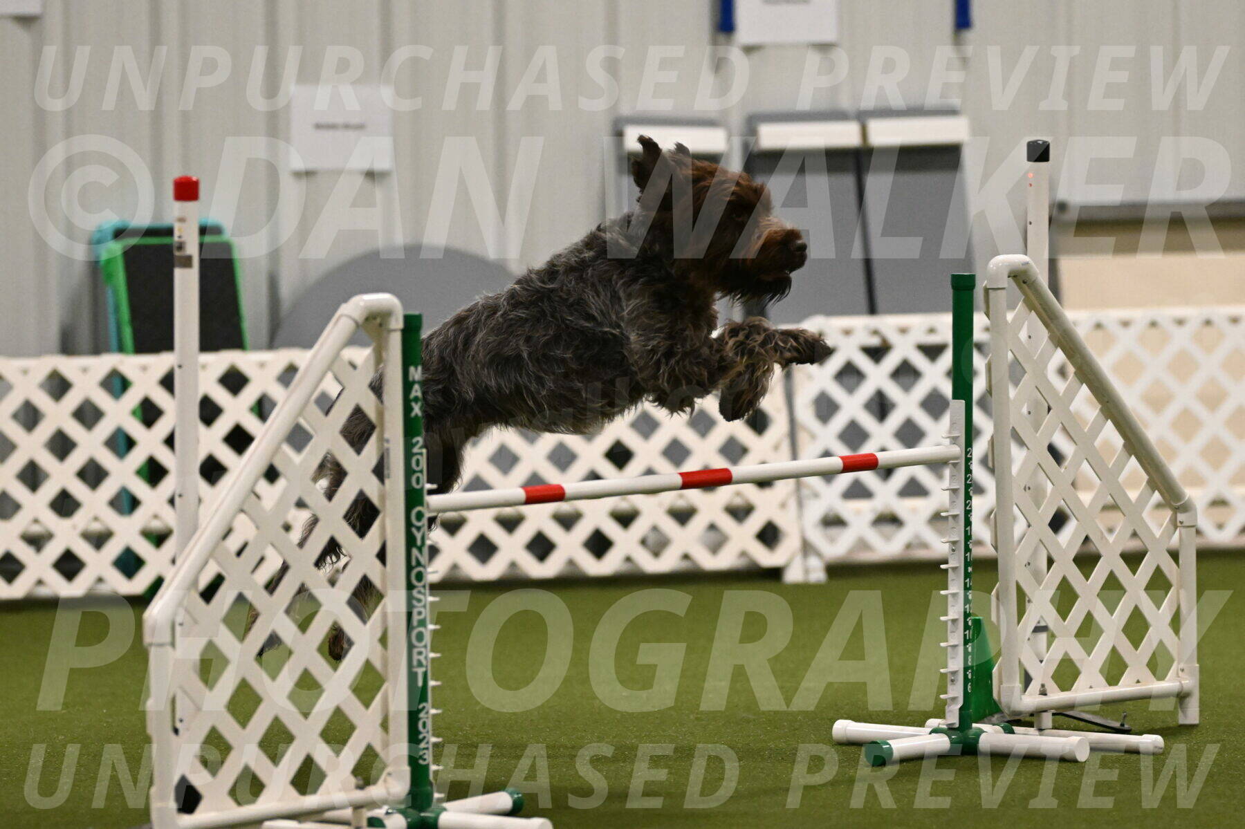 Drake-Janice-Lipscomb-04356