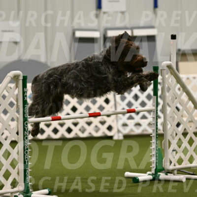 Drake-Janice-Lipscomb-04357