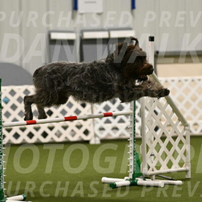 Drake-Janice-Lipscomb-04358