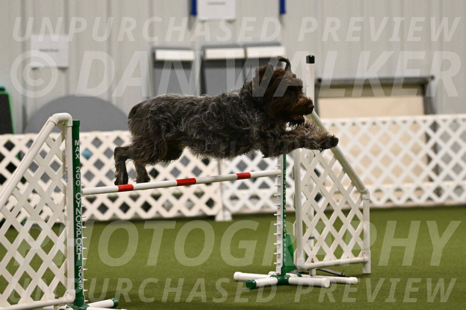 Drake-Janice-Lipscomb-04358