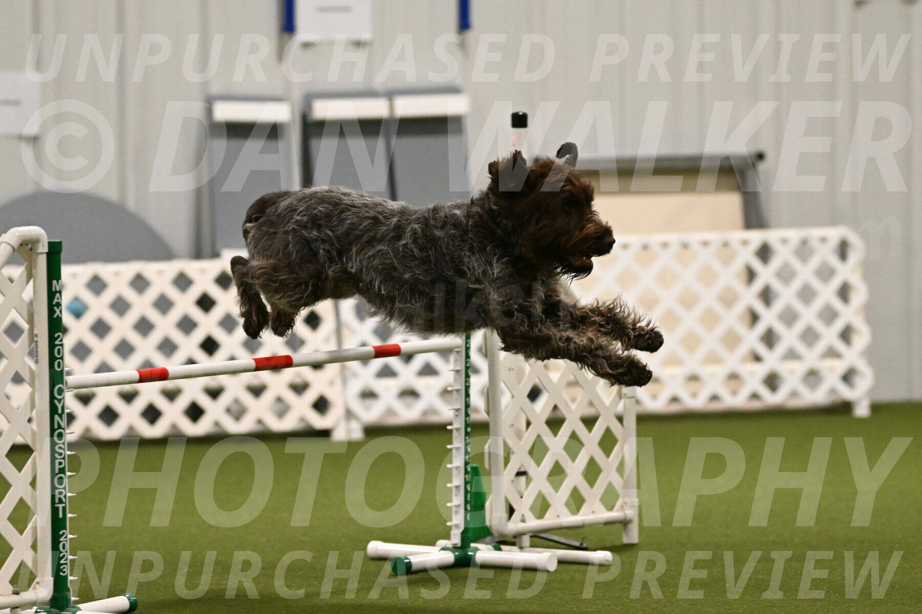 Drake-Janice-Lipscomb-04359