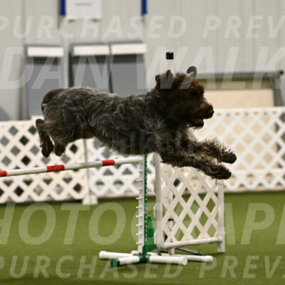 Drake-Janice-Lipscomb-04359