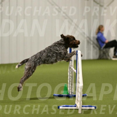 Drake-Janice-Lipscomb-04360