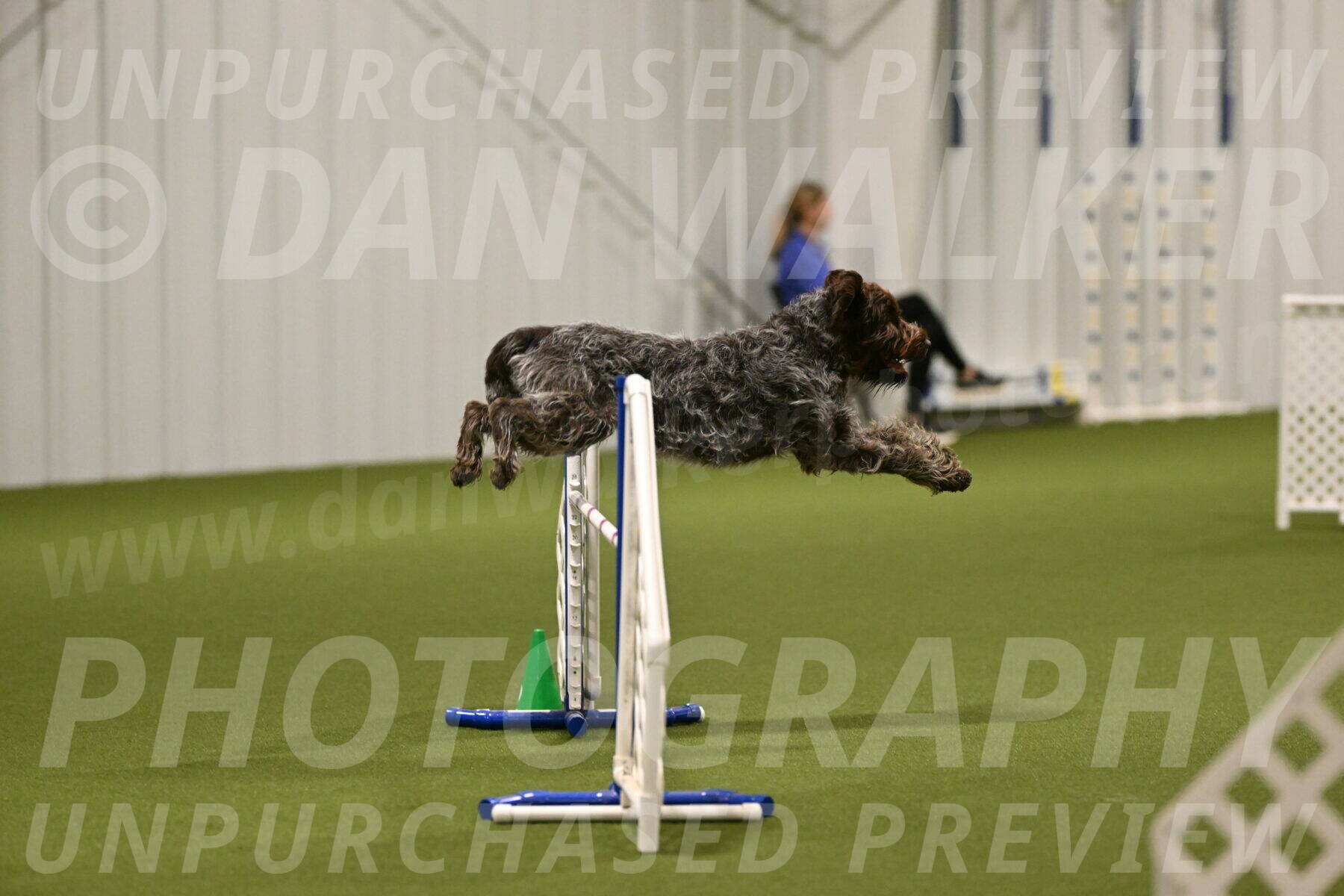 Drake-Janice-Lipscomb-04363