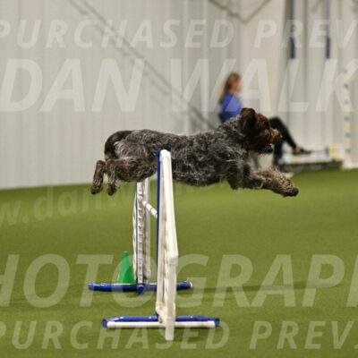 Drake-Janice-Lipscomb-04363