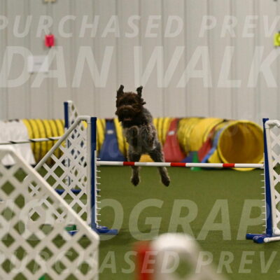 Drake-Janice-Lipscomb-04364