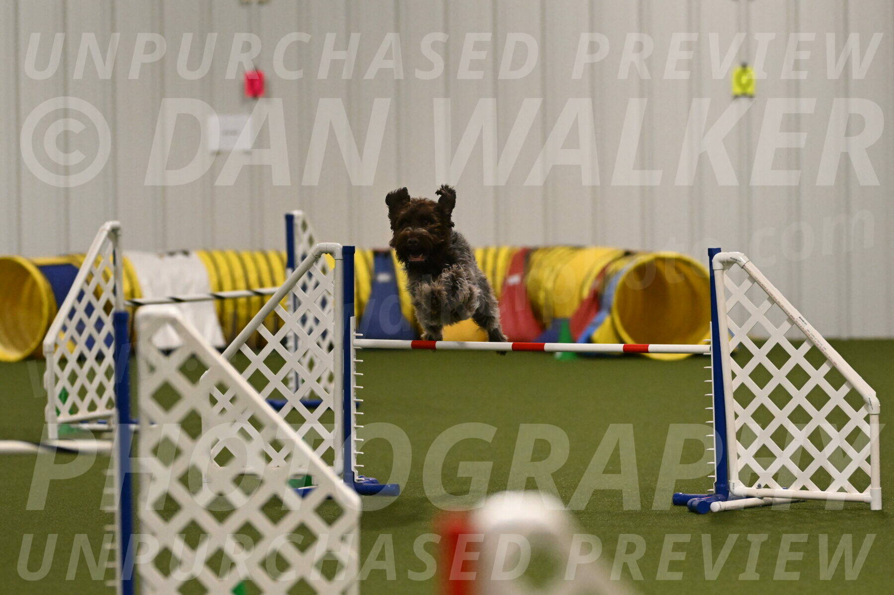 Drake-Janice-Lipscomb-04365