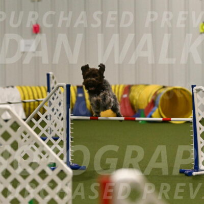 Drake-Janice-Lipscomb-04365