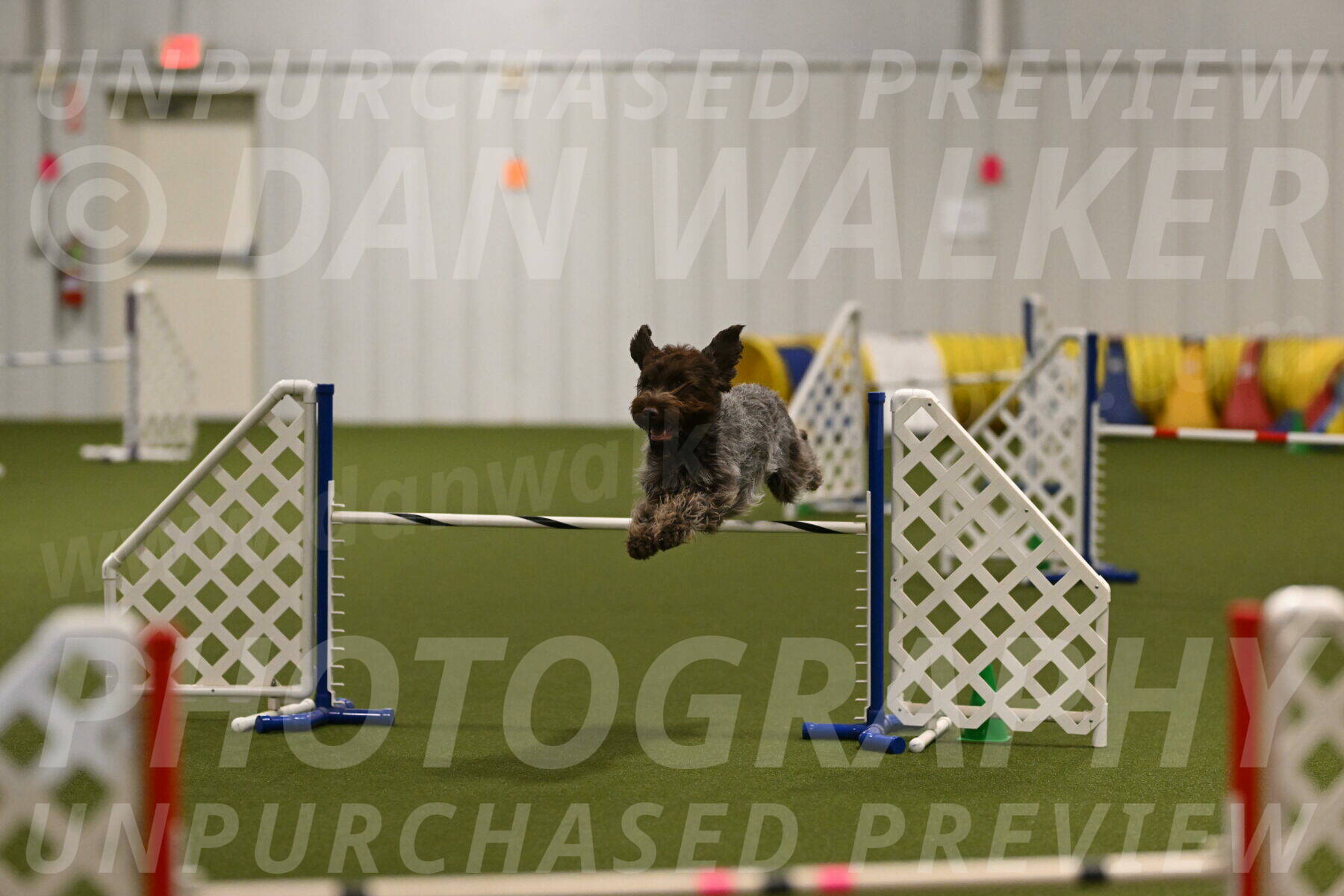 Drake-Janice-Lipscomb-04366