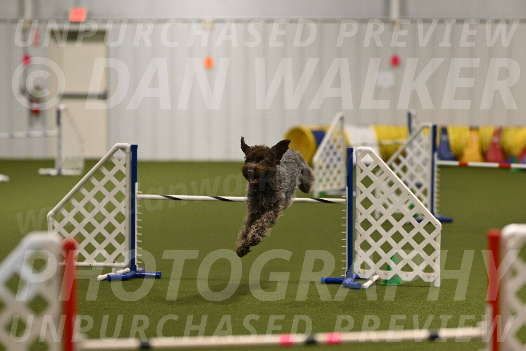 Drake-Janice-Lipscomb-04367