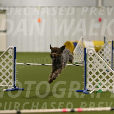 Drake-Janice-Lipscomb-04367