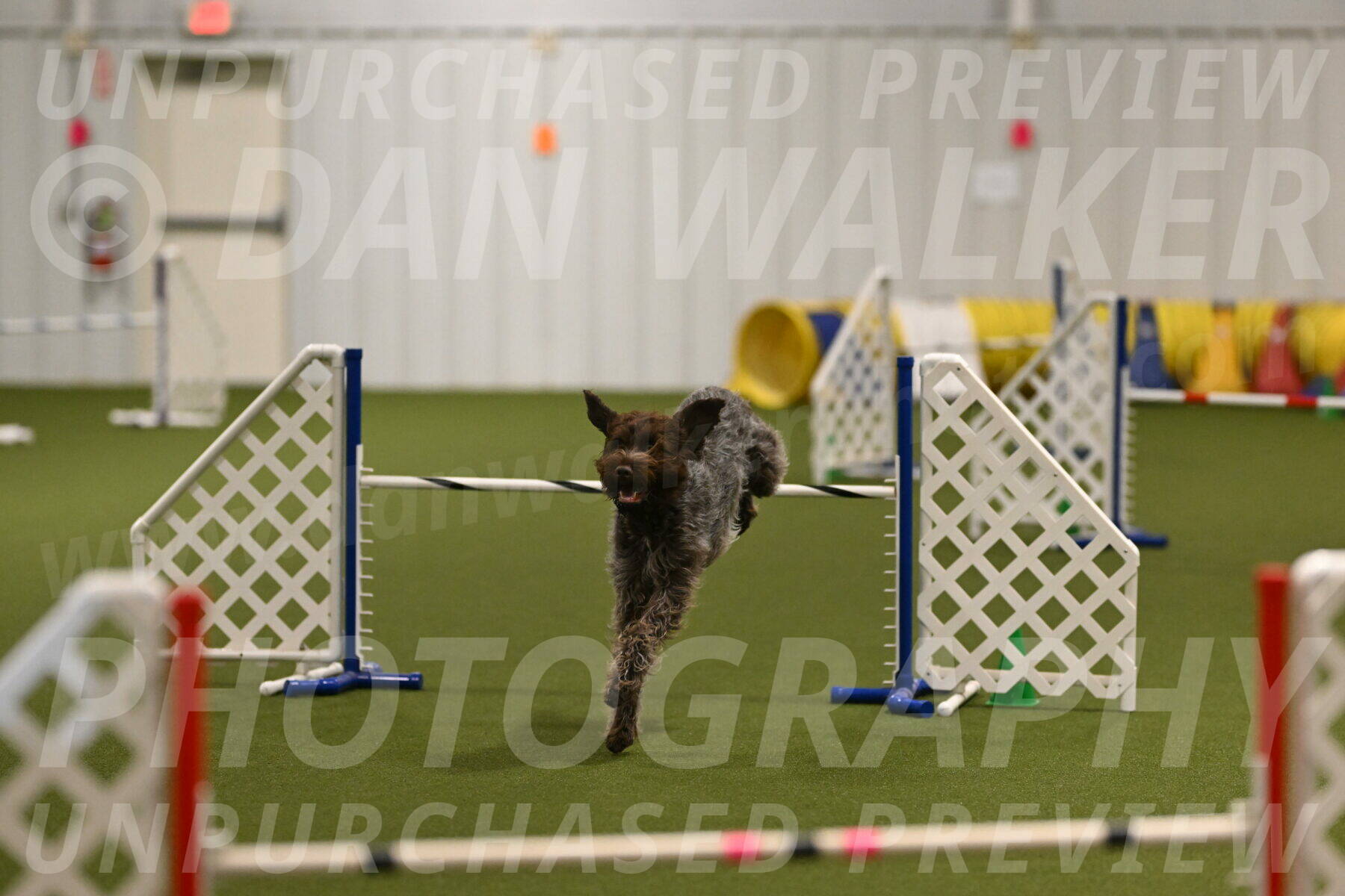 Drake-Janice-Lipscomb-04368