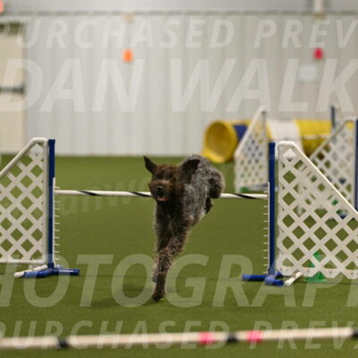 Drake-Janice-Lipscomb-04368