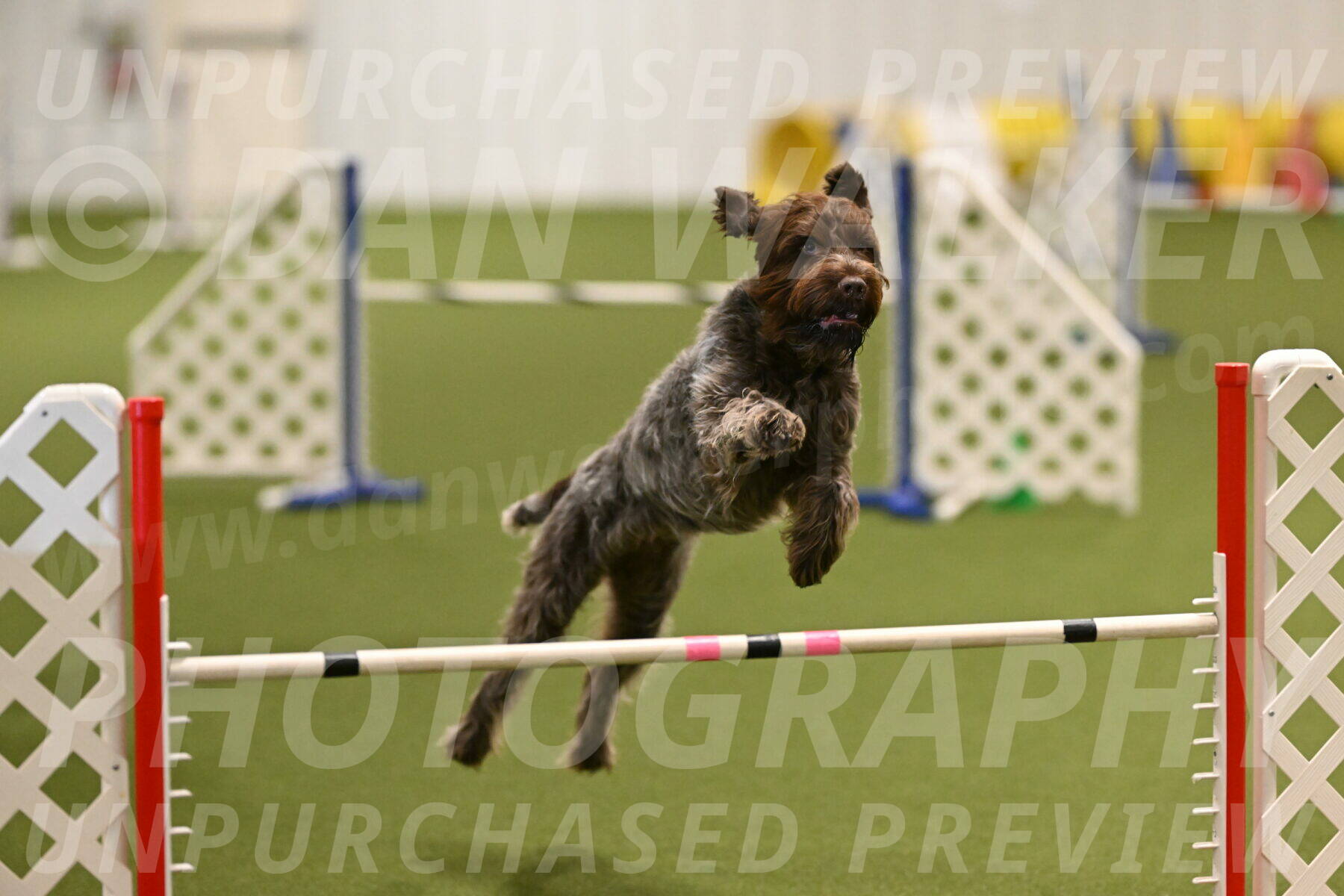 Drake-Janice-Lipscomb-04369