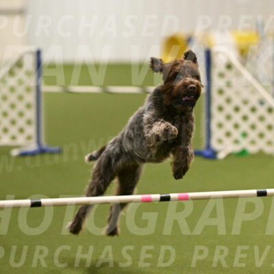 Drake-Janice-Lipscomb-04369