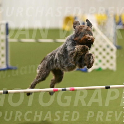 Drake-Janice-Lipscomb-04370